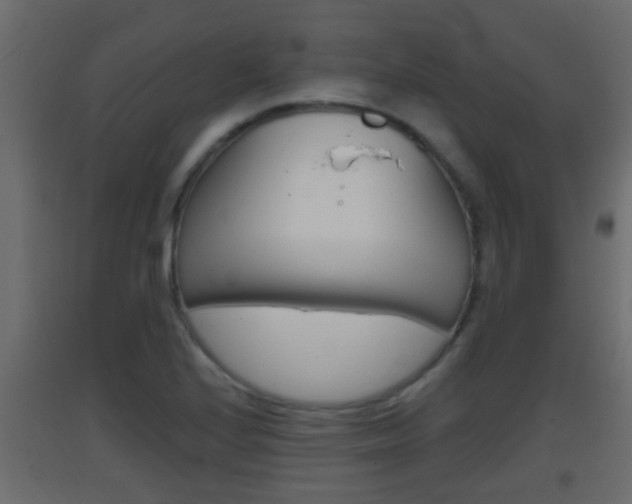 X0000093381224200710111341