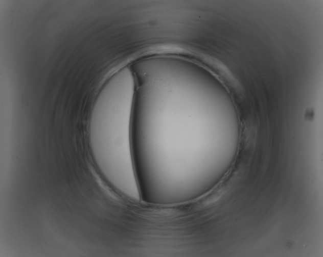 X0000093381225200710111341