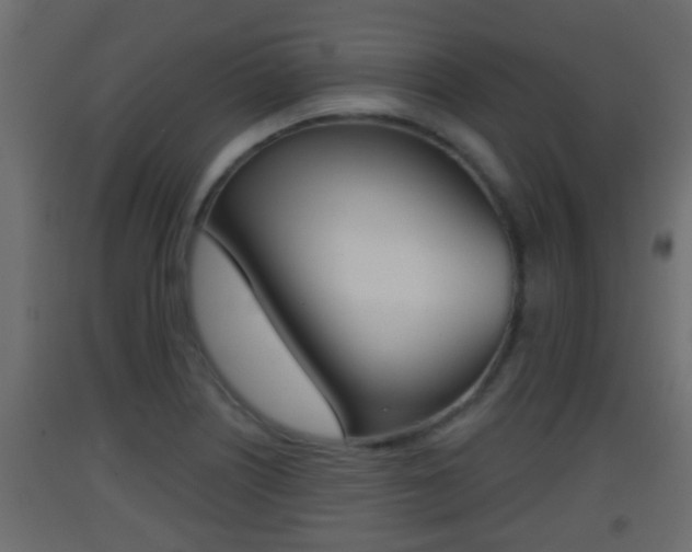 X0000093381226200710111341