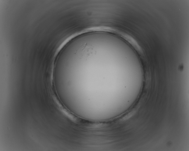 X0000093381228200710111341