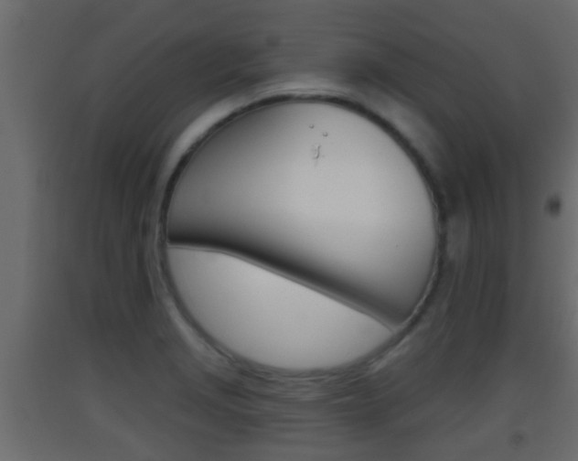 X0000093381229200710111341