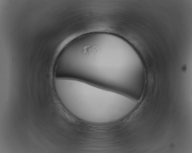 X0000093381230200710111341