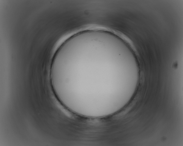 X0000093381231200710111341