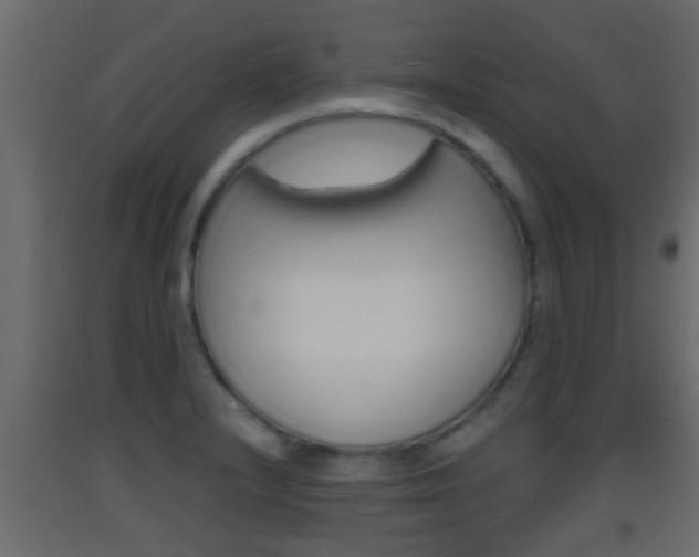 X0000093381232200710111341