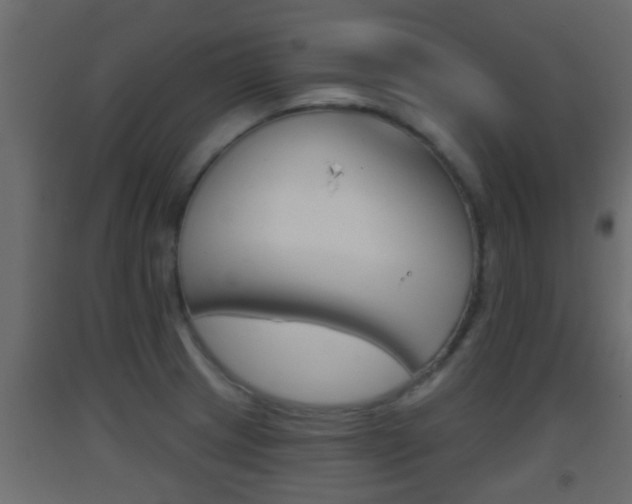 X0000093381233200710111341