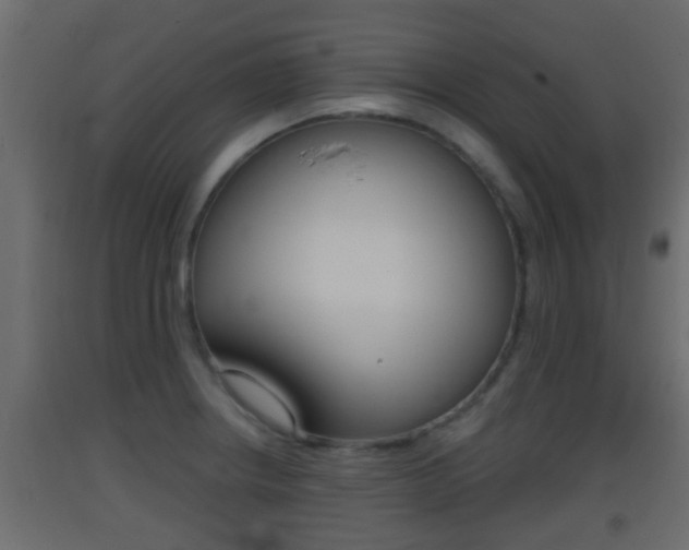 X0000093381234200710111341