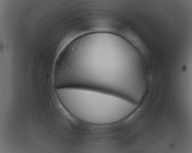 X0000093381236200710111341