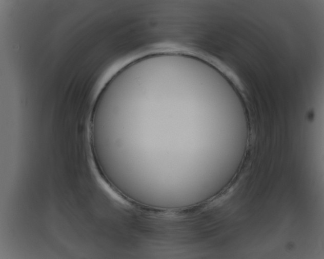 X0000093381239200710111341