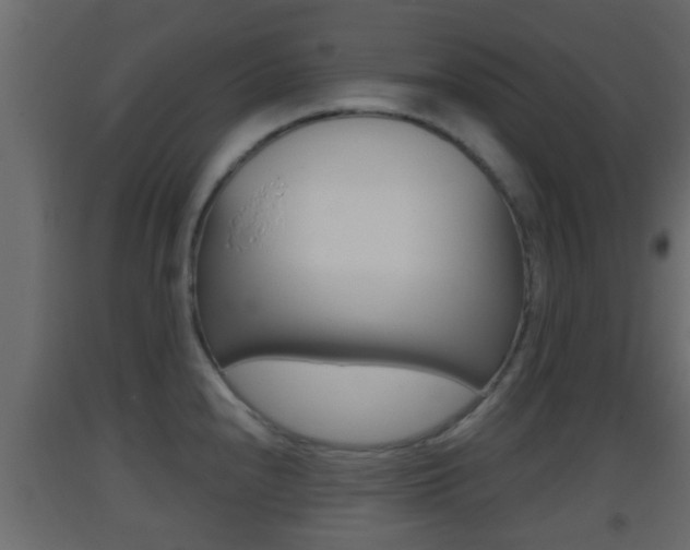X0000093381240200710111341