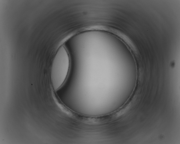 X0000093381241200710111341