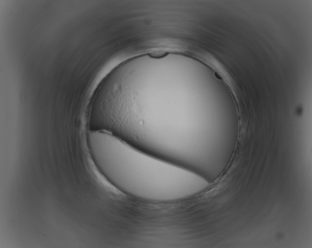 X0000093381243200710111341