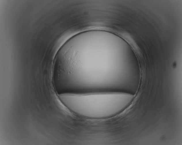X0000093381244200710111341