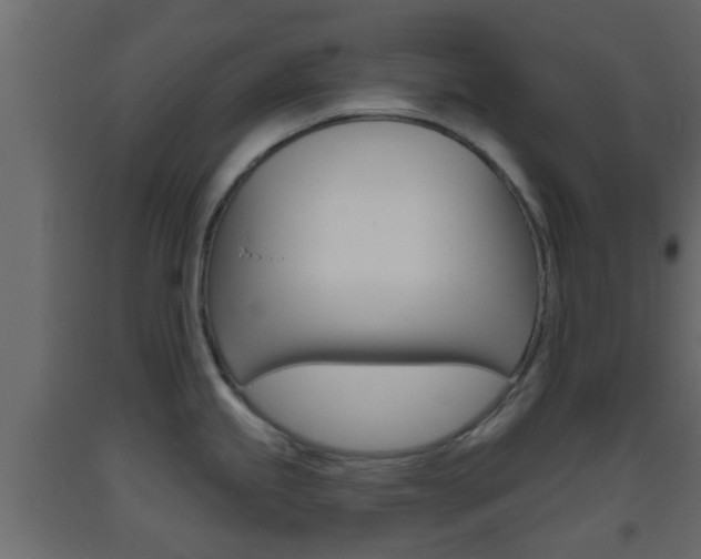 X0000093381245200710111341