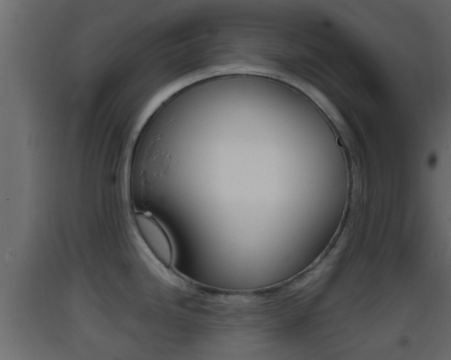 X0000093381246200710111341