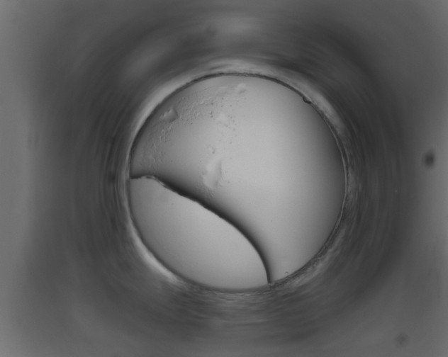 X0000093381247200710111341