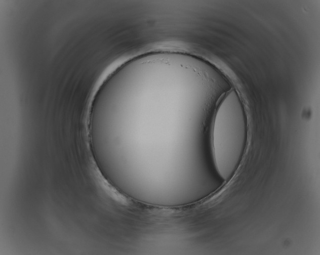 X0000093381248200710111341
