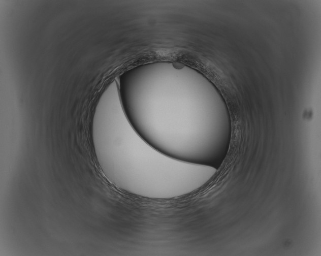 X0000093381249200710111340