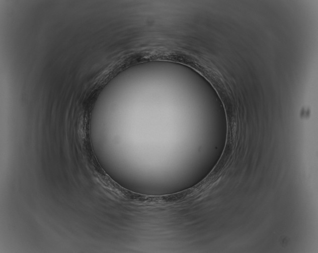 X0000093381250200710111340