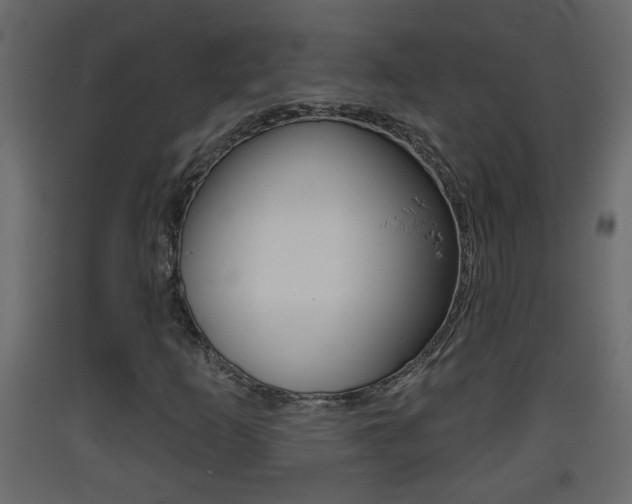 X0000093381253200710111340