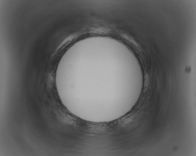 X0000093381254200710111340
