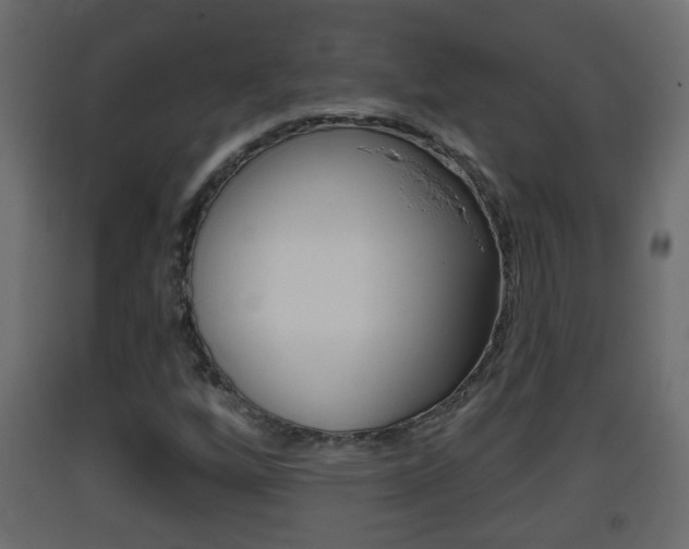 X0000093381256200710111340
