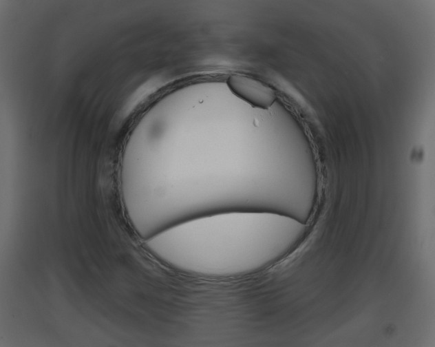 X0000093381259200710111340