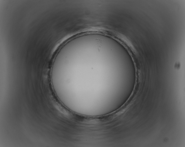 X0000093381260200710111340