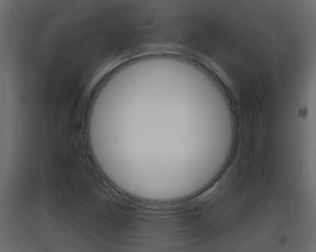 X0000093381261200710111340