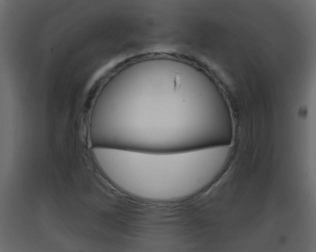 X0000093381262200710111340