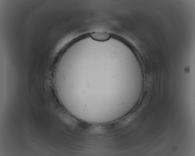 X0000093381263200710111340
