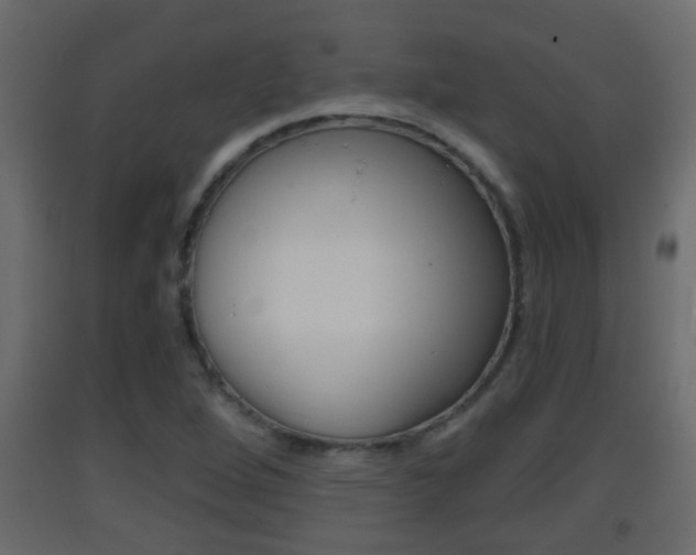 X0000093381264200710111340