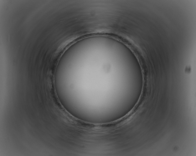 X0000093381265200710111340