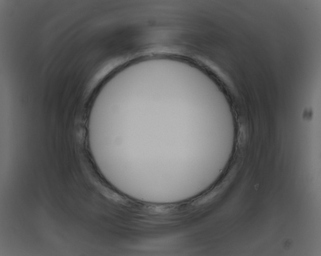 X0000093381266200710111340
