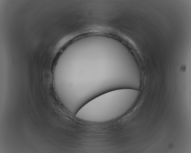 X0000093381267200710111340