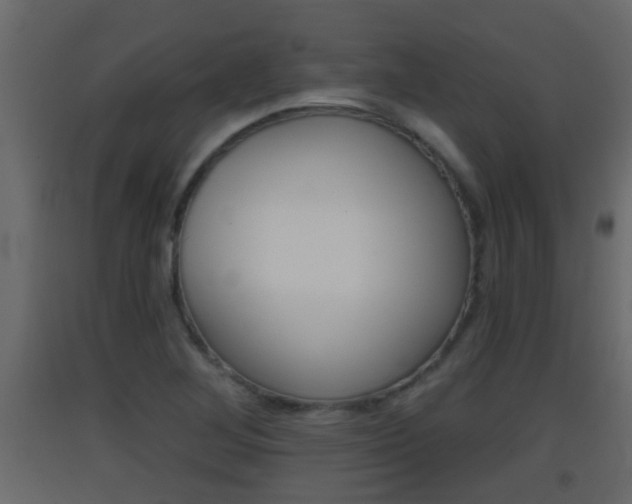 X0000093381268200710111340