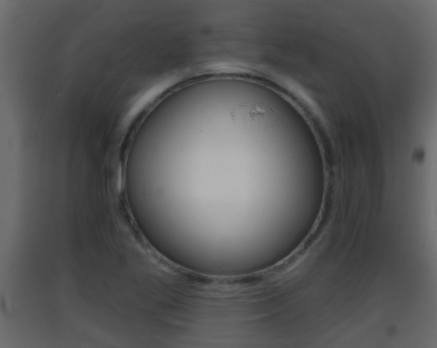 X0000093381269200710111340