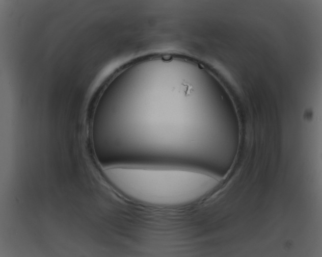 X0000093381270200710111340