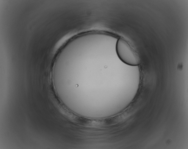 X0000093381271200710111340