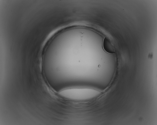 X0000093381272200710111340