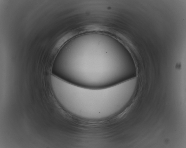 X0000093381273200710111340