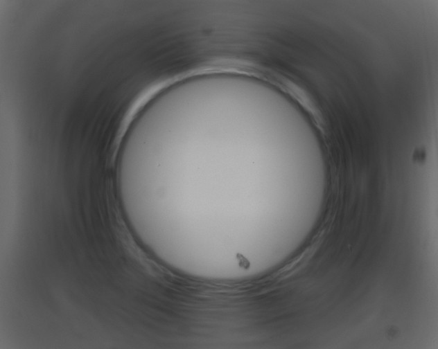 X0000093381275200710111340