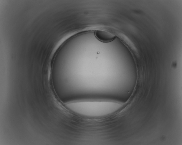 X0000093381276200710111340