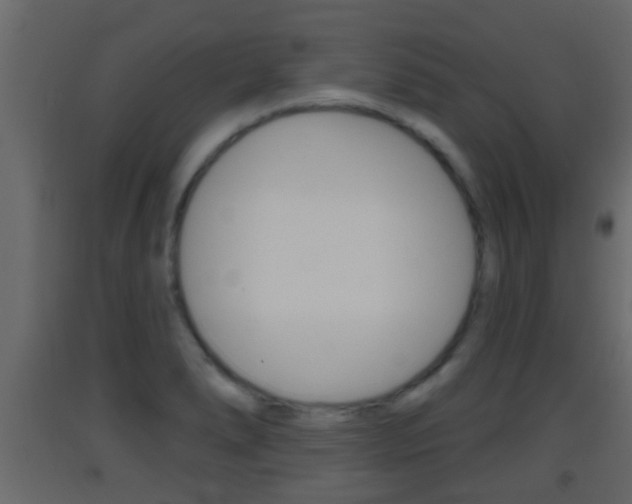 X0000093381278200710111340