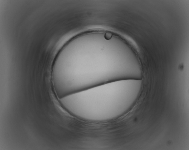 X0000093381279200710111340