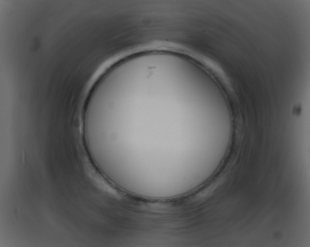 X0000093381280200710111340