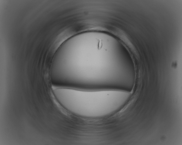 X0000093381281200710111340