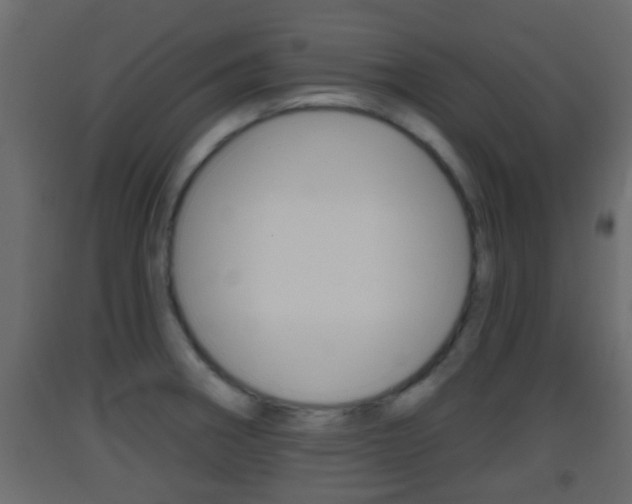 X0000093381282200710111340