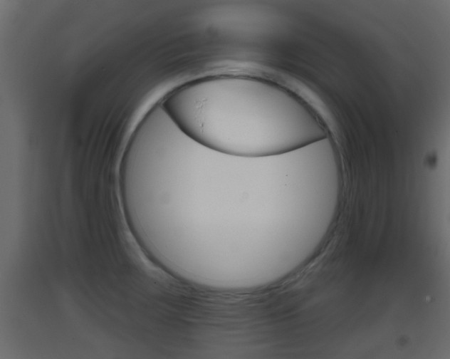 X0000093381283200710111340