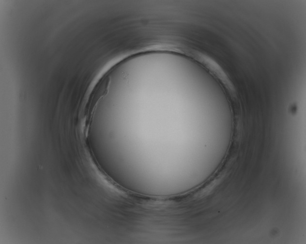 X0000093381284200710111340