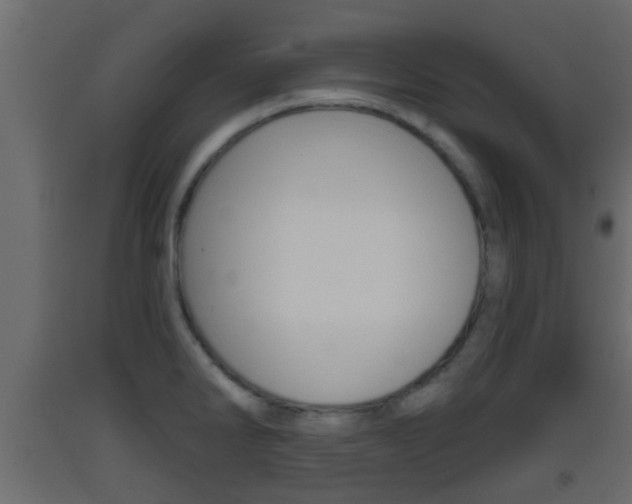X0000093381286200710111340